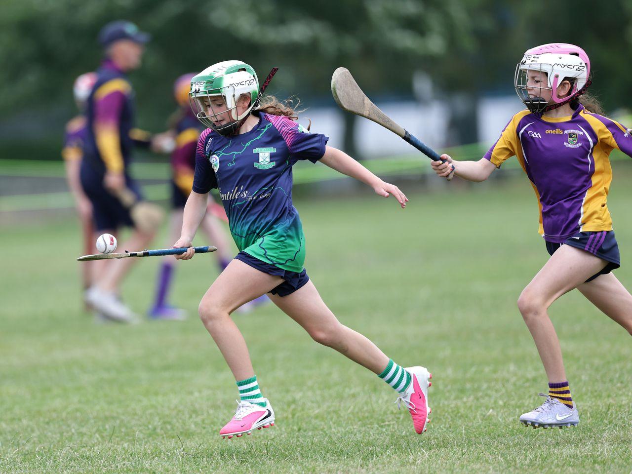Players in action at the U9 Festival of Camogie